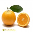 Orange Juice 15 Kilos